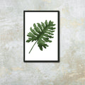 Leaves on Poster- Set of 3