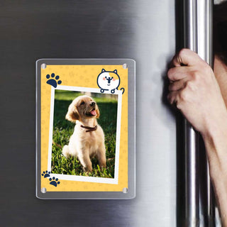 acrylic pet magnets