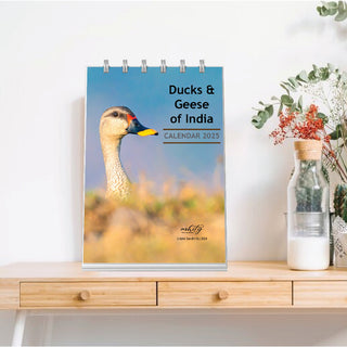 Logo Desk Calendar-2026