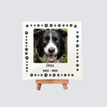 Pet Memory Mini Canvas