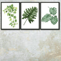 Leaves on Poster- Set of 3