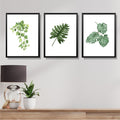 Leaves on Poster- Set of 3