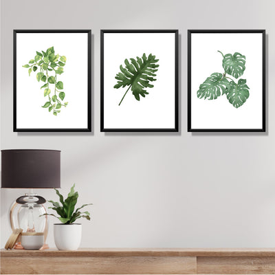 Leaves on Poster- Set of 3