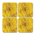 Single Flower Pattern Coaster - Set of 4